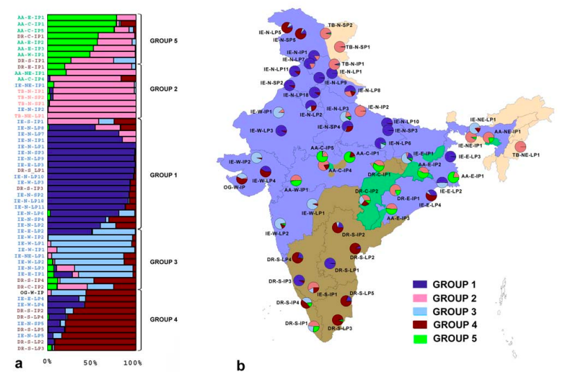 Genetic landscape of the people of India
